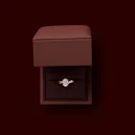 The Amira RingTM - Oval with Marquise Accents - 图片 2
